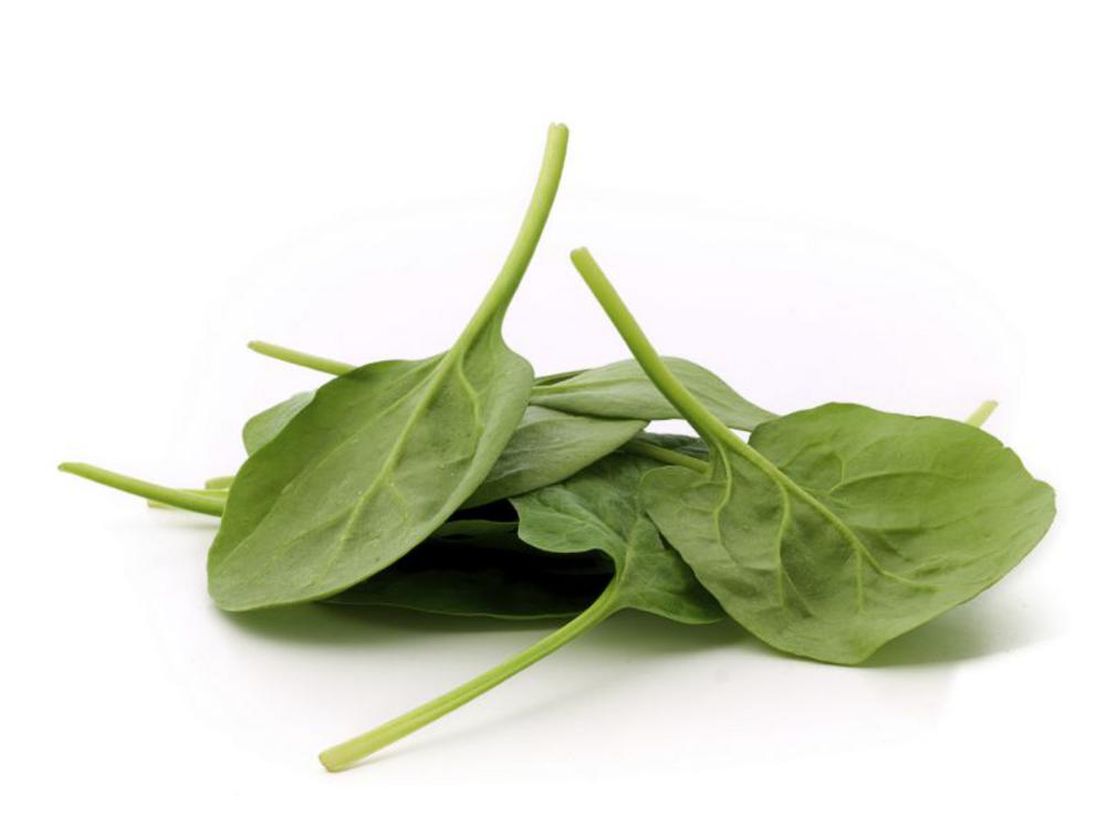 spinach a good source of many nutrients